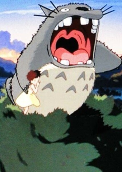 Totoro photo
