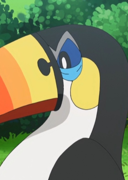 Toucannon photo