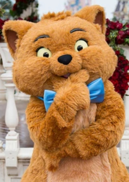Toulouse photo