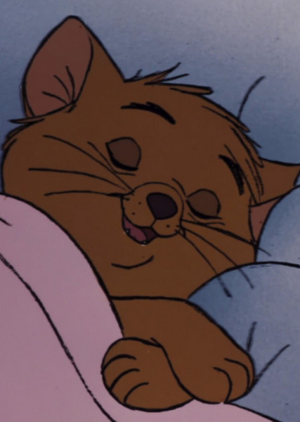 Toulouse photo