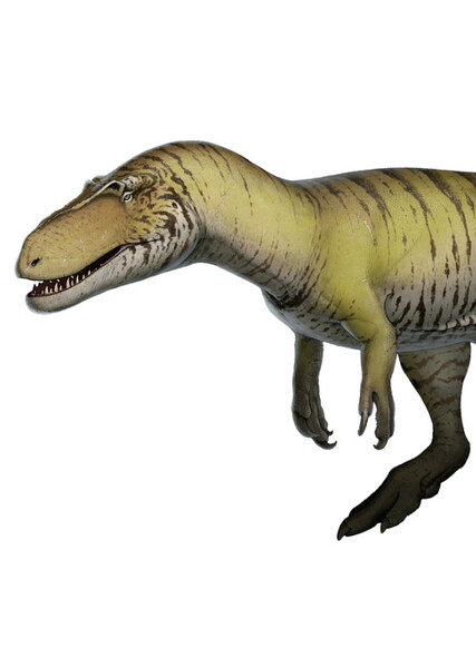 Tovosaurus