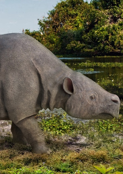Toxodon photo