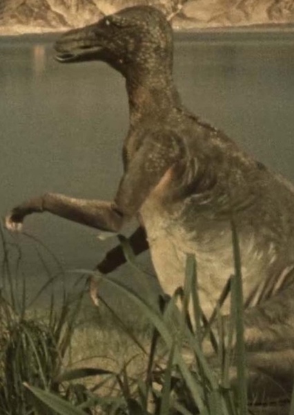 Trachodon photo