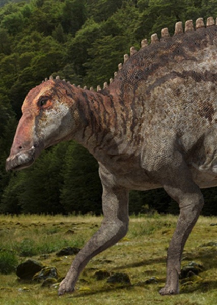 Trachodon photo