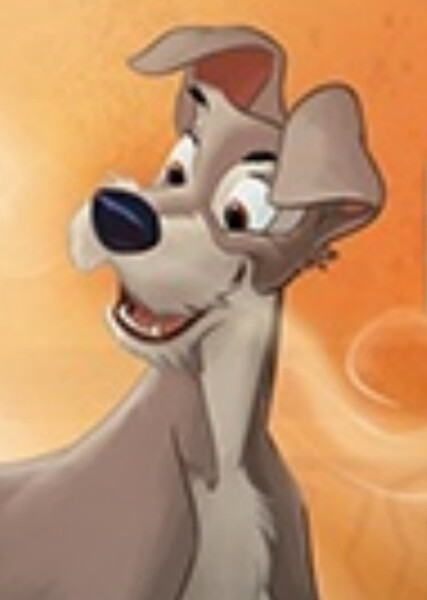 Tramp (Disney Character) photo
