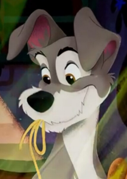 Tramp (Disney Character) photo