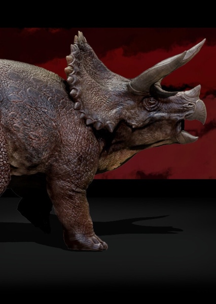 Triceratops photo