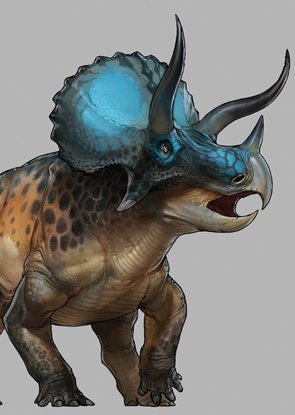 Triceratops photo