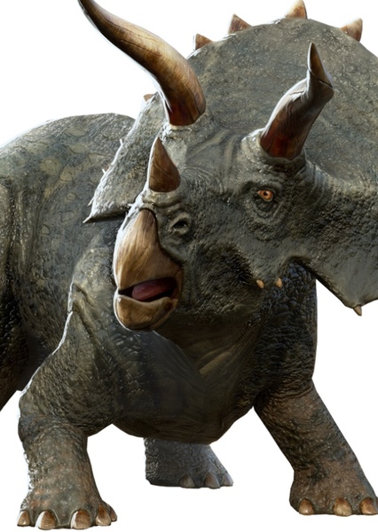Triceratops photo
