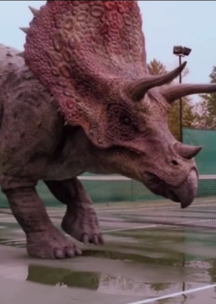 Triceratops photo