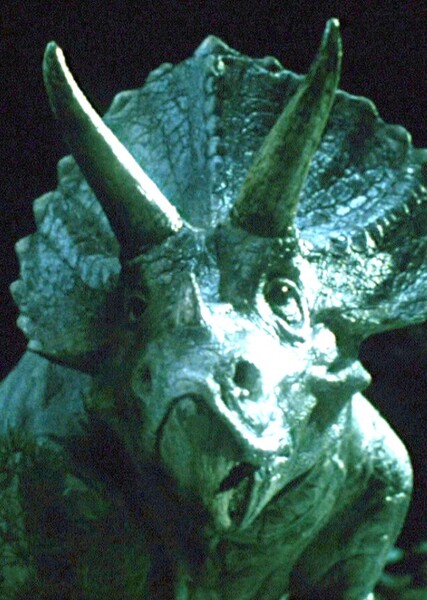 Triceratops photo