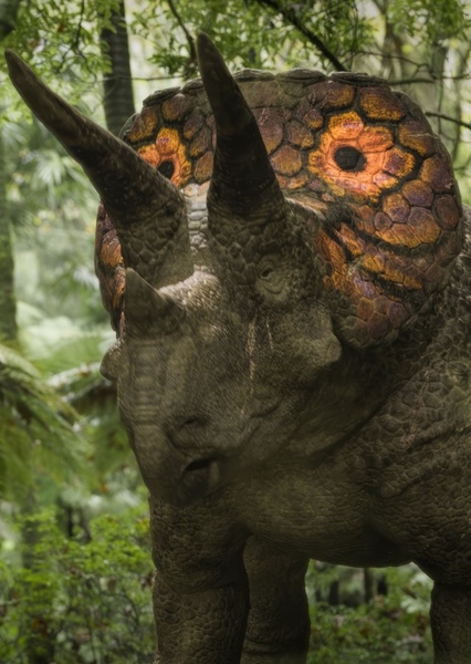 Triceratops photo