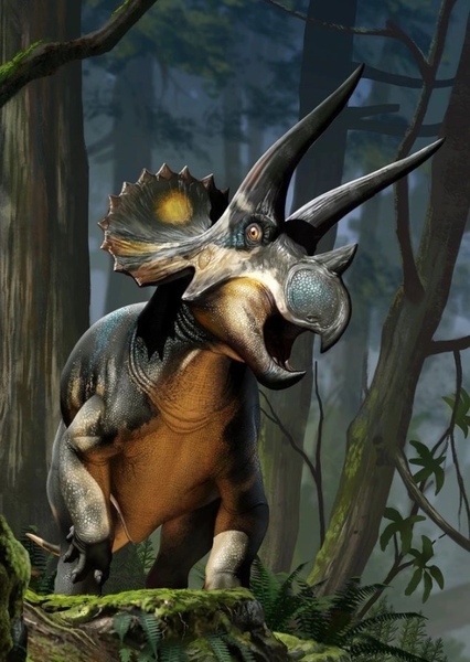Triceratops photo