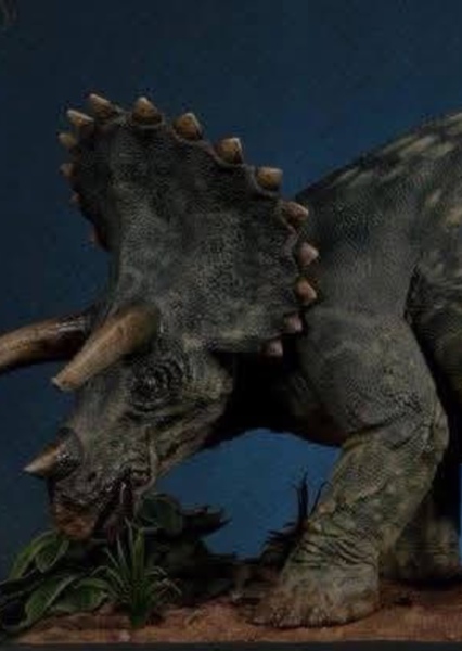 Triceratops photo