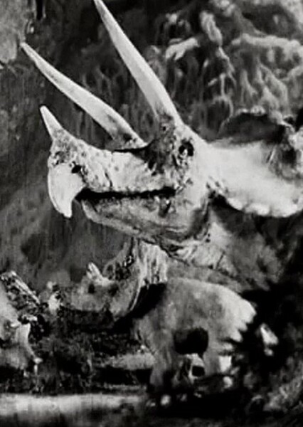 Triceratops photo