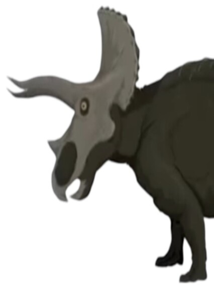 Triceratops photo
