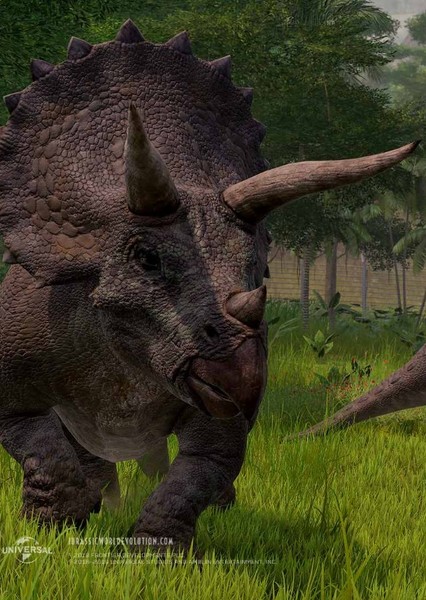 Triceratops