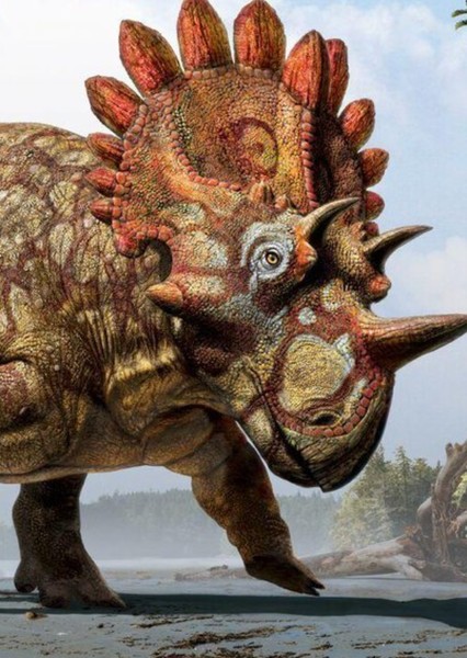 Triceratops photo