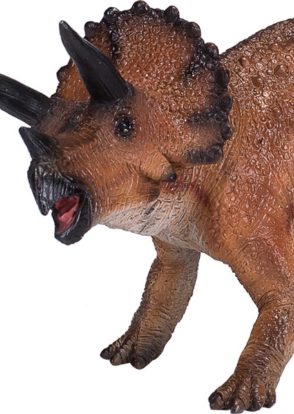 Triceratops photo