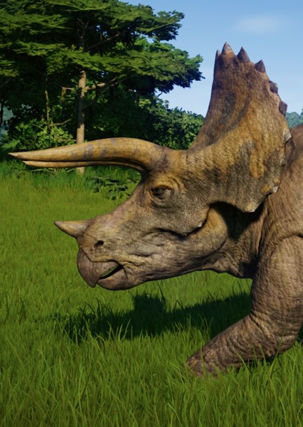Triceratops photo