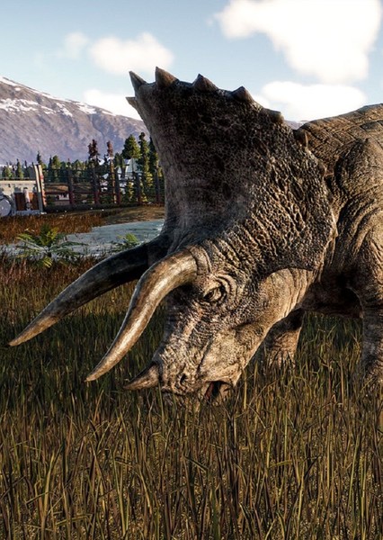 Triceratops photo
