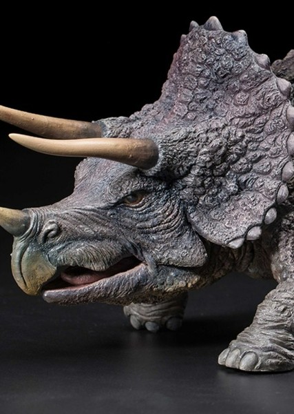 Triceratops photo