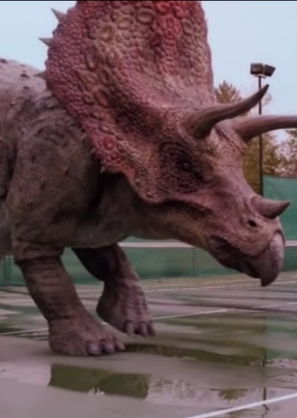 Triceratops photo