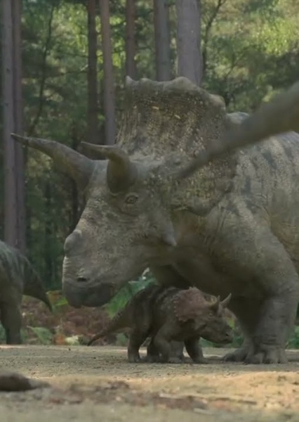 Triceratops photo