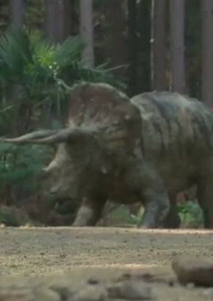Triceratops photo