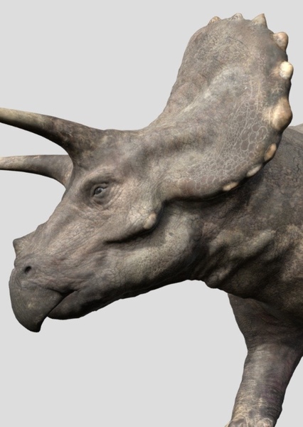 Triceratops (Amazing Dinoworld)