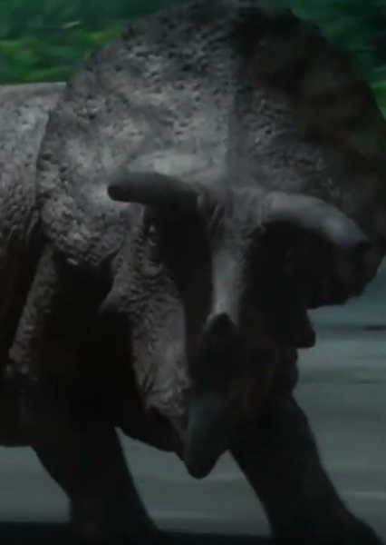 Triceratops (Dinosaur Island)