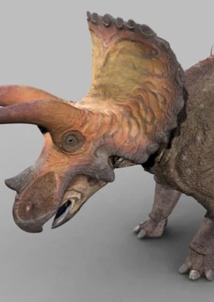 Triceratops (Dinosaur Revolution)