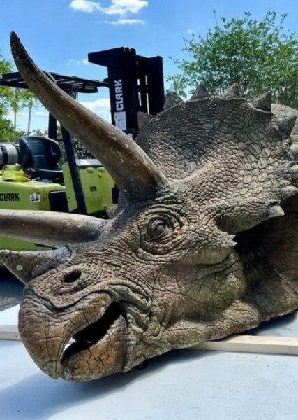 Triceratops (Jurassic Park) photo