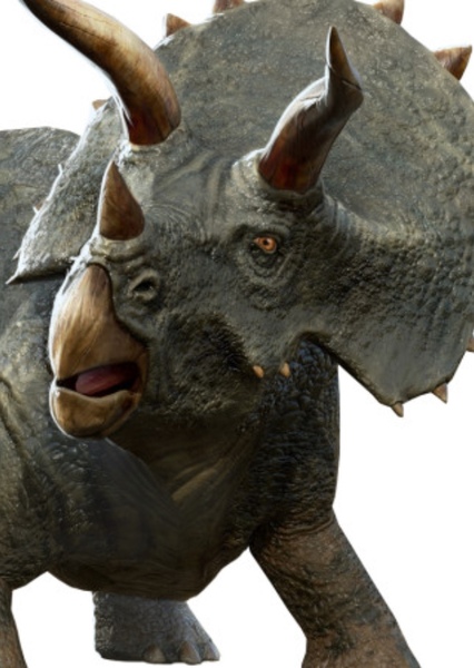 Triceratops (Jurassic World: Primal Ops)
