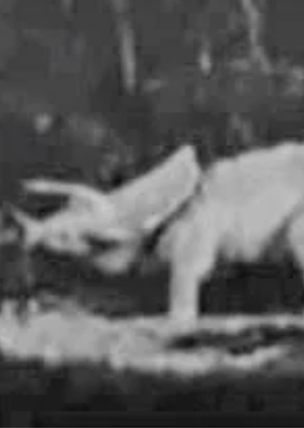 Triceratops (Monsters of the Past)