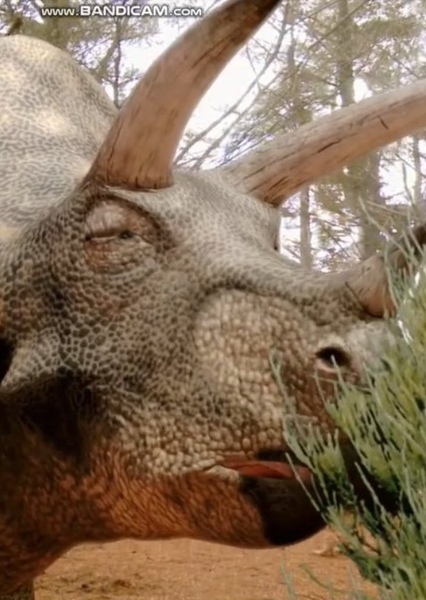 Triceratops (Prehistoric Denver)