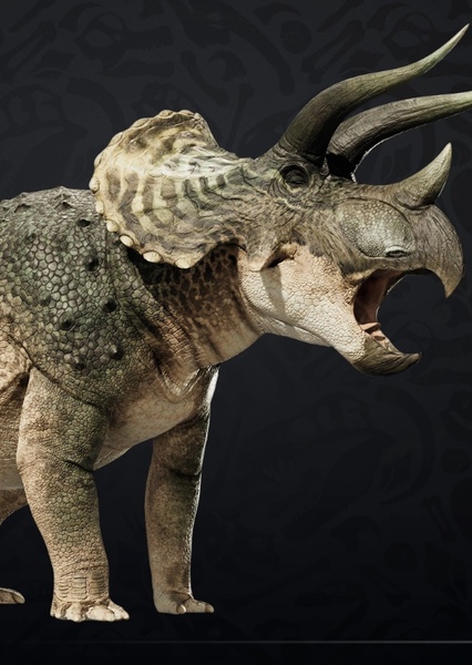Triceratops Prorsus (Prehistoric Kingdom)