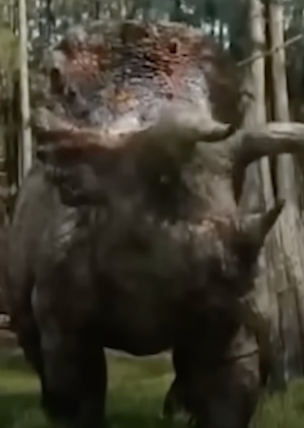 Triceratops (T-Rex)