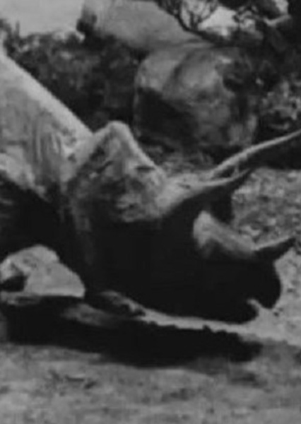 Triceratops (The Ghost of Slumber Mountain)
