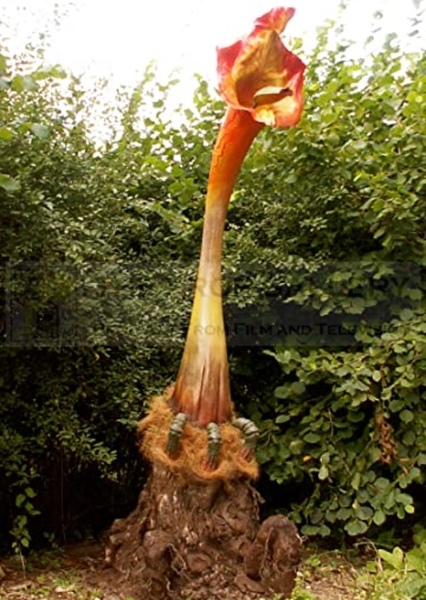 Triffids