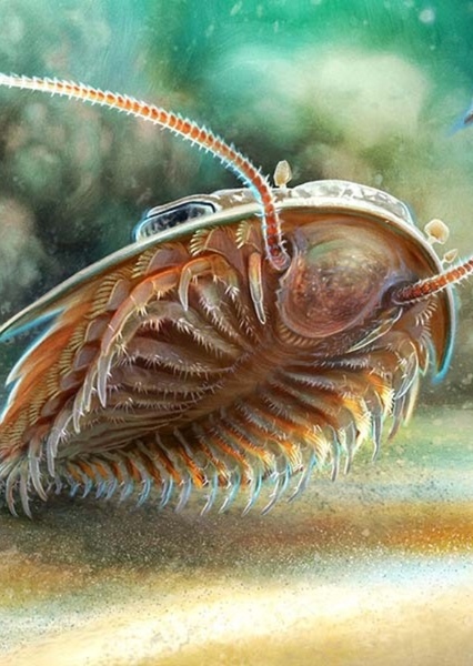 Trilobites