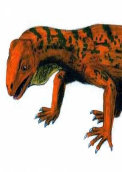 Trilophosaurus photo