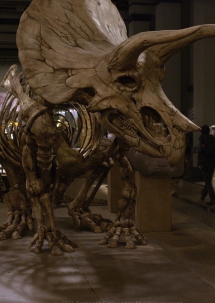 Trixie (Night at the Museum)
