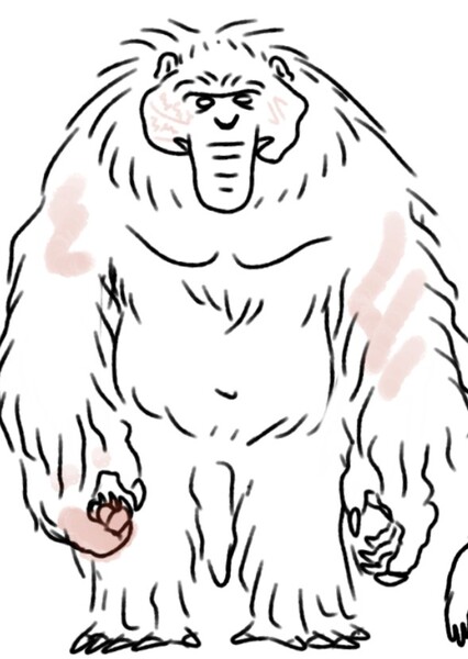 Troll photo