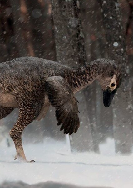 Troodon photo