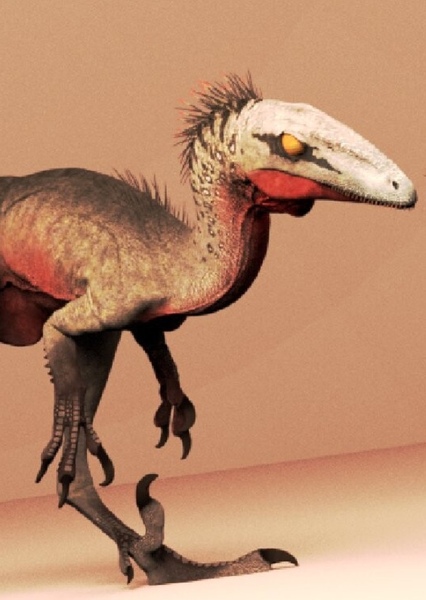 Troodon photo