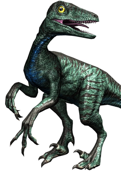 Troodon photo