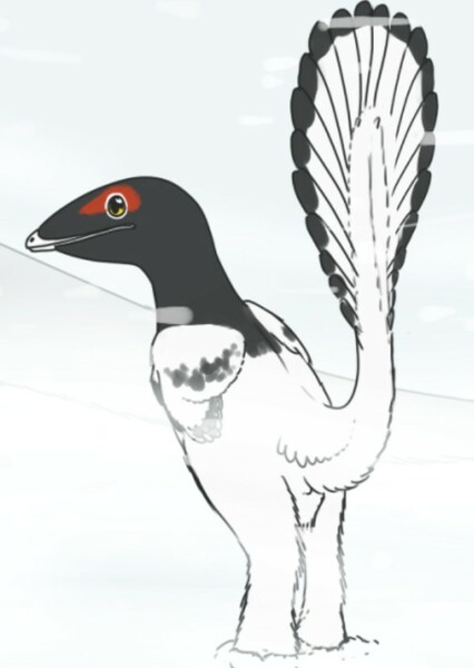 Troodon photo
