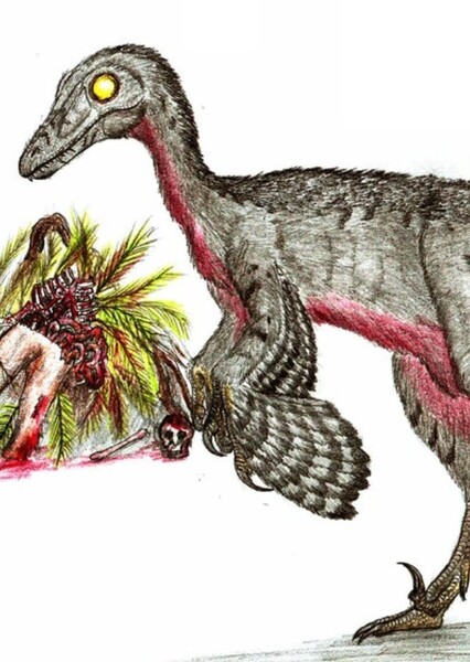 Troodon (Jurassic Park) photo