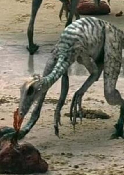 Troodon (Prehistoric Park)